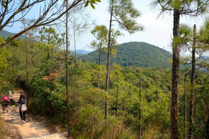 Dirt surface beyond Tai Tam Reservoirs.